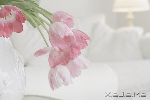 早安心语:得意时要看淡,失意时要看开 (10)